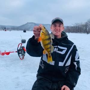 Meet your Posher, Ben